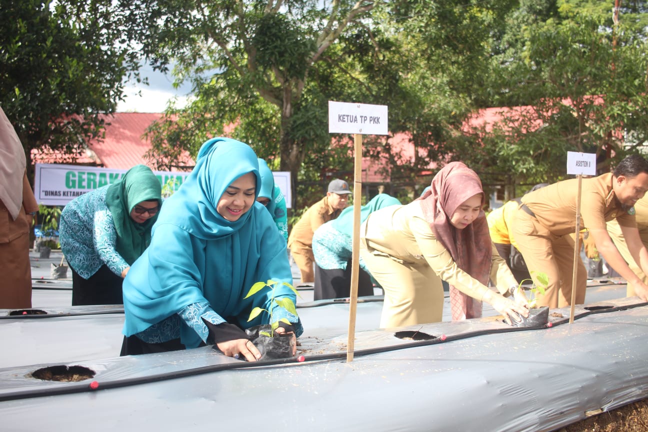 Pemkot Parepare Kolaborasi PKK-TPID Gelar Gerakan Tanam Cabe Serentak
