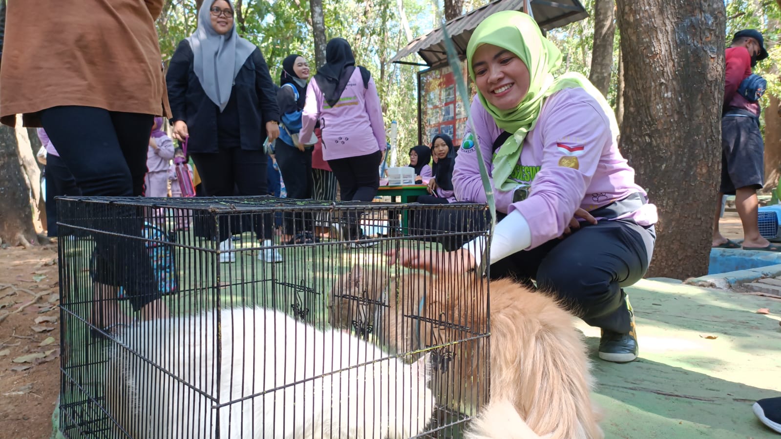 Peduli Hewan, Puskeswan Maros Gelar Vaksinasi Gratis