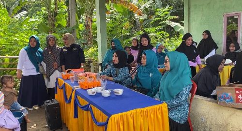 TP PKK Kota Parepare Turun Langsung Lakukan Pemantauan ke Posyandu