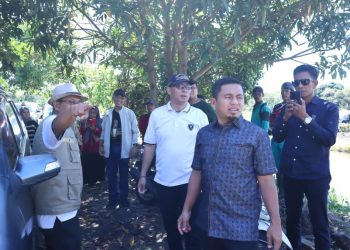 Wali Kota Parepare Tasming Hamid meninjau lahan penanaman jagung di Pesantren Al-Amin sebagai bagian dari program ketahanan pangan