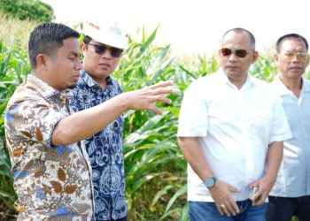 Wali Kota Parepare Tasming Hamid bersama rombongan PT KIMA dan PT KBI meninjau lahan Kawasan Industri KIPAS di Kelurahan Lapadde