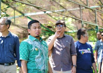 Wali Kota Parepare Tasming Hamid bersama tim Selecta dan OPD meninjau pengembangan Kebun Raya Jompie sebagai destinasi wisata