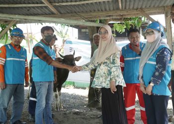 Penyerahan hewan kurban oleh Manajer PLTD Suppa kepada warga Kelurahan Tellumpanua dan Watang Suppa dalam rangka Idul Adha 2025.