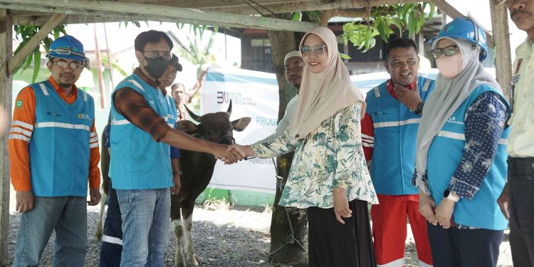 Penyerahan hewan kurban oleh Manajer PLTD Suppa kepada warga Kelurahan Tellumpanua dan Watang Suppa dalam rangka Idul Adha 2025.