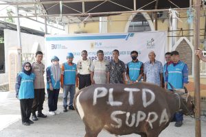 PLTD Suppa Serahkan Hewan Kurban ke Warga Pinrang: Wujud Kepedulian Sosial Idul Adha