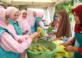 Ketua PKK Parepare Andi Arfiah Tasming meninjau Tani Smart Market