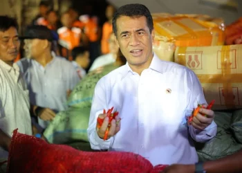 Menteri Pertanian Andi Amran Sulaiman tinjau rehabilitasi sawah terdampak bencana