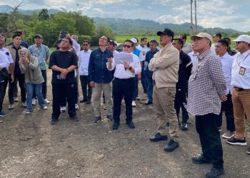 Menteri Pertanian Andi Amran Sulaiman tinjau lokasi hilirisasi ayam di Bone