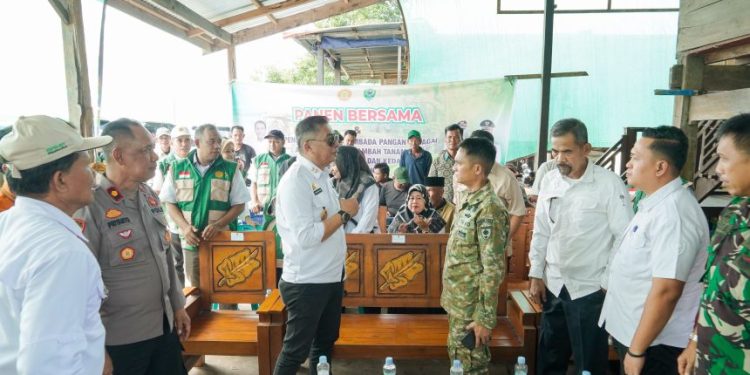Wabup Barru Abustan mengikuti panen raya nasional swasembada pangan