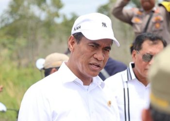 Mentan Andi Amran Sulaiman paparkan hilirisasi kelapa gambir dan CPO