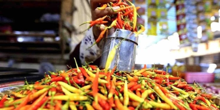 Stok cabai nasional surplus 2026 jelang Ramadan dan Lebaran