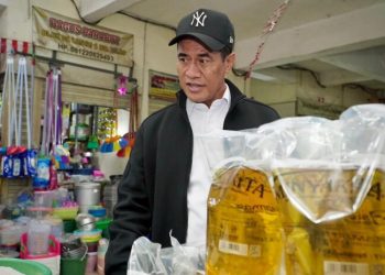 Andi Amran Sulaiman saat meninjau harga MinyaKita di pasar