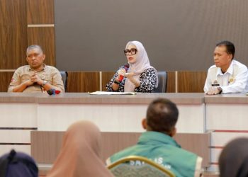 Bupati Barru Andi Ina Kartika Sari menerima kunjungan Dirjen Hortikultura Kementerian Pertanian di Barru