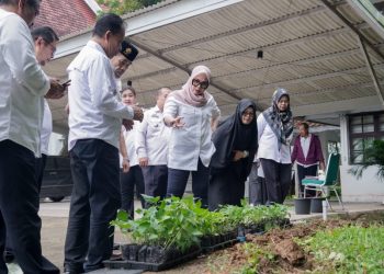 Bupati Barru Andi Ina Kartika Sari meluncurkan Gerakan ASN Tanam Cabai di Kantor Daerah Barru