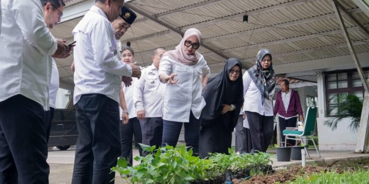 Bupati Barru Andi Ina Kartika Sari meluncurkan Gerakan ASN Tanam Cabai di Kantor Daerah Barru