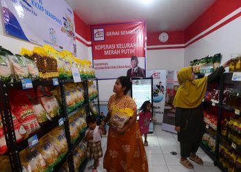 Lowongan kerja Kopdes Merah Putih 2026 dibuka pemerintah