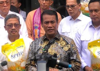 Beras SPHP kemasan 2 kg segera diluncurkan pemerintah untuk stabilisasi harga pangan