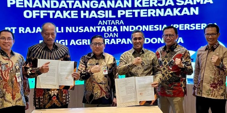Hilirisasi ayam di Sulawesi Selatan untuk program makan bergizi gratis