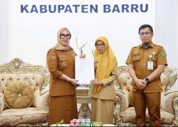 bupati barru serahkan sk plt dinas kesehatan
