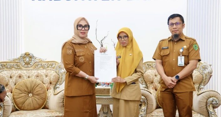 bupati barru serahkan sk plt dinas kesehatan