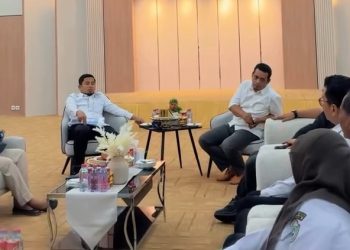 audiensi kendaraan listrik parepare spklu tasming hamid