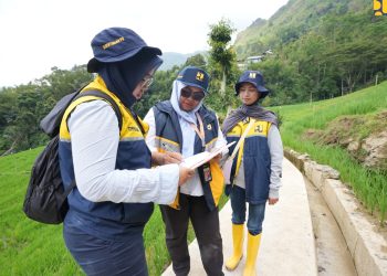 Rekrutmen TPM P3TGAI 2026 Sulawesi Selatan