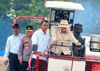 Presiden Prabowo Subianto menghadiri panen raya jagung di Tuban Jawa Timur