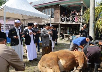 Wali Kota Parepare Tasming Hamid menyerahkan sapi kurban Presiden Prabowo di Watang Bacukiki