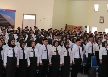 Evaluasi PPPK Parepare oleh BKPSDM jelang kontrak 2026