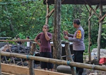 Polsek Ujung patroli peternakan sapi dan kambing di Parepare jelang Iduladha