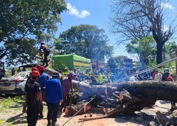 Pohon tumbang di Jalan Ahmad Yani KM 6 Parepare menimpa mobil warga akibat angin kencang