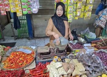 Harga pangan di Pasar Lakessi Parepare turun drastis dengan stok melimpah