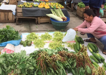 Harga sayuran di Pasar Lakessi Parepare naik di Pasar Lakessi akibat pasokan menipis