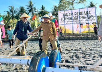 Pertanian modern Parepare melalui teknologi PM AAS di Galung Maloang