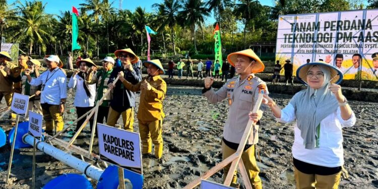 Sawah Watang Bacukiki Parepare berpotensi meningkatkan produktivitas pertanian