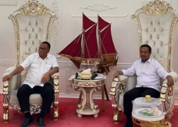Tasming Hamid dan Menteri Lingkungan Hidup membahas PSEL Parepare di Makassar