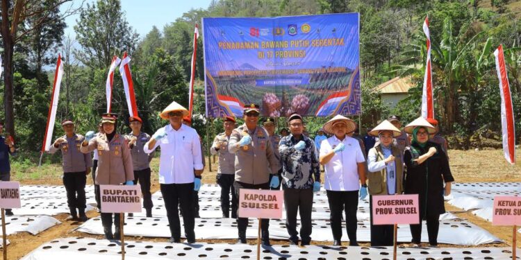 Bawang putih Sulawesi Selatan dalam program ketahanan pangan Polda Sulsel