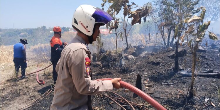 Kebakaran Parepare melanda halaman Pertashop dan lahan jagung warga di Bumi Harapan
