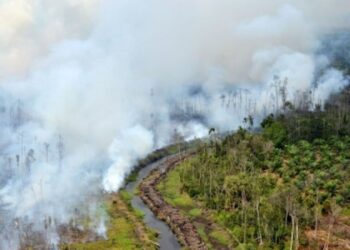 karhutla dan penanganan kebakaran hutan dan lahan di Kalimantan Tengah