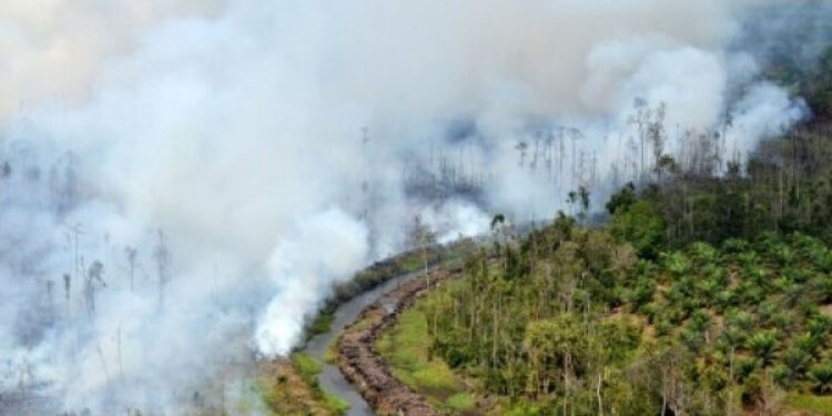 karhutla dan penanganan kebakaran hutan dan lahan di Kalimantan Tengah
