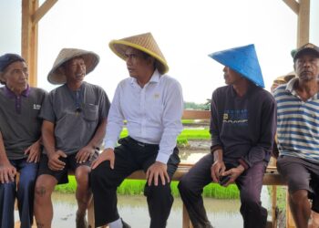 Mentan Amran Banggai saat meninjau pelayanan pupuk bersubsidi kepada petani