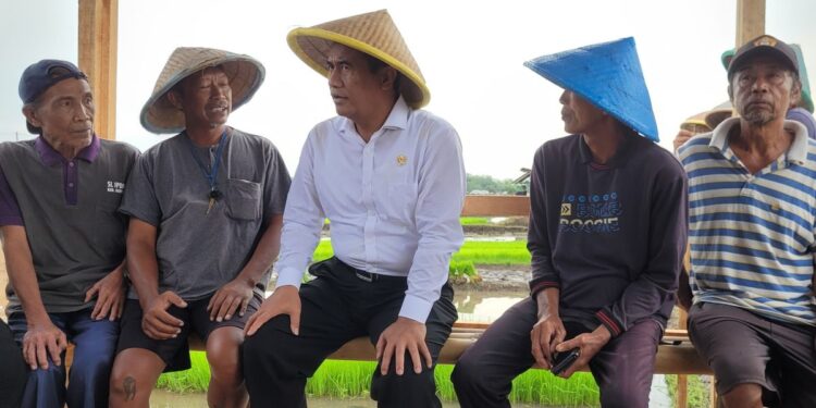 Mentan Amran Banggai saat meninjau pelayanan pupuk bersubsidi kepada petani