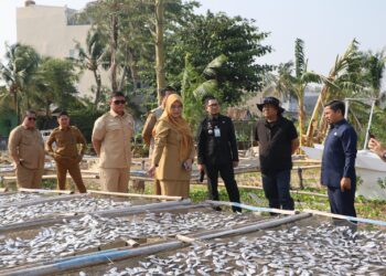 Kampung Nelayan Cempae Parepare Dibangun, Tasming Hamid Dorong Penataan Akses Jalan dan Distribusi Ikan