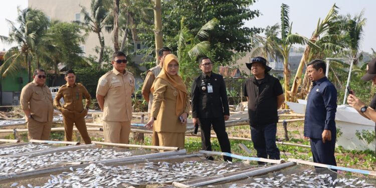 Kampung Nelayan Cempae Parepare Dibangun, Tasming Hamid Dorong Penataan Akses Jalan dan Distribusi Ikan
