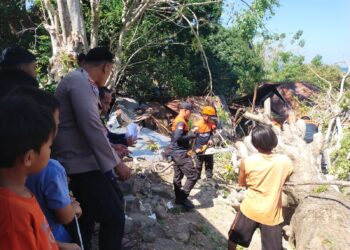 Respons Cepat Aipda Kasril Tangani Pohon Tumbang yang Rusak Dua Rumah Warga Cappa Galung