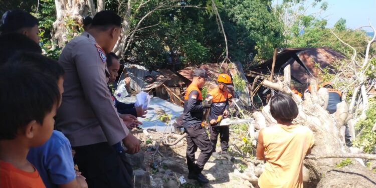 Respons Cepat Aipda Kasril Tangani Pohon Tumbang yang Rusak Dua Rumah Warga Cappa Galung