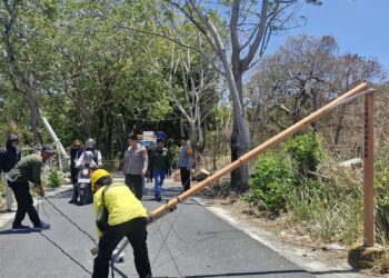 AKP Sukri Abdullah Turun Pantau Pohon Tumbang yang Tutup Jalan Ambo Matti