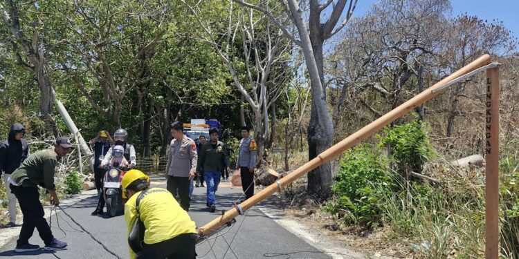 AKP Sukri Abdullah Turun Pantau Pohon Tumbang yang Tutup Jalan Ambo Matti