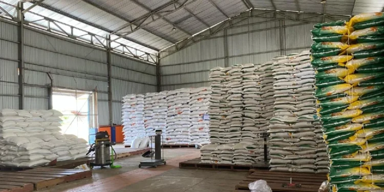 Pembangunan 100 Gudang Bulog untuk memperkuat kapasitas penyimpanan beras nasional